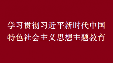 學(xué)習(xí)貫徹習(xí)近平新時(shí)代中國特色社會(huì)主義思想主題教育